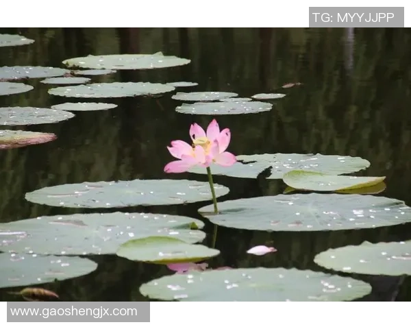 莉莉娅在海克斯的毕业之旅中如何通过旋转技巧赢得胜利的故事