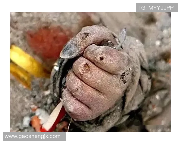 S15令人心碎的瞬间回顾让人一口气看完后泪流满面 S15令人心碎的瞬间回顾让人一口气看完后泪流满面